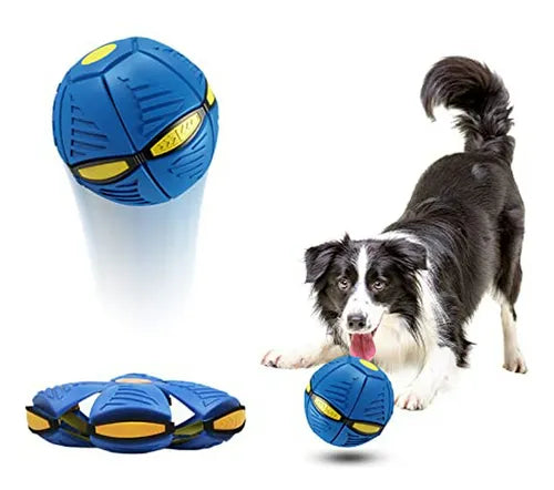 Pelota voladora de Juguete para Perros